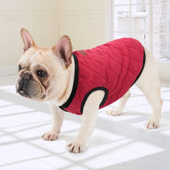 Dog Winter Jacket